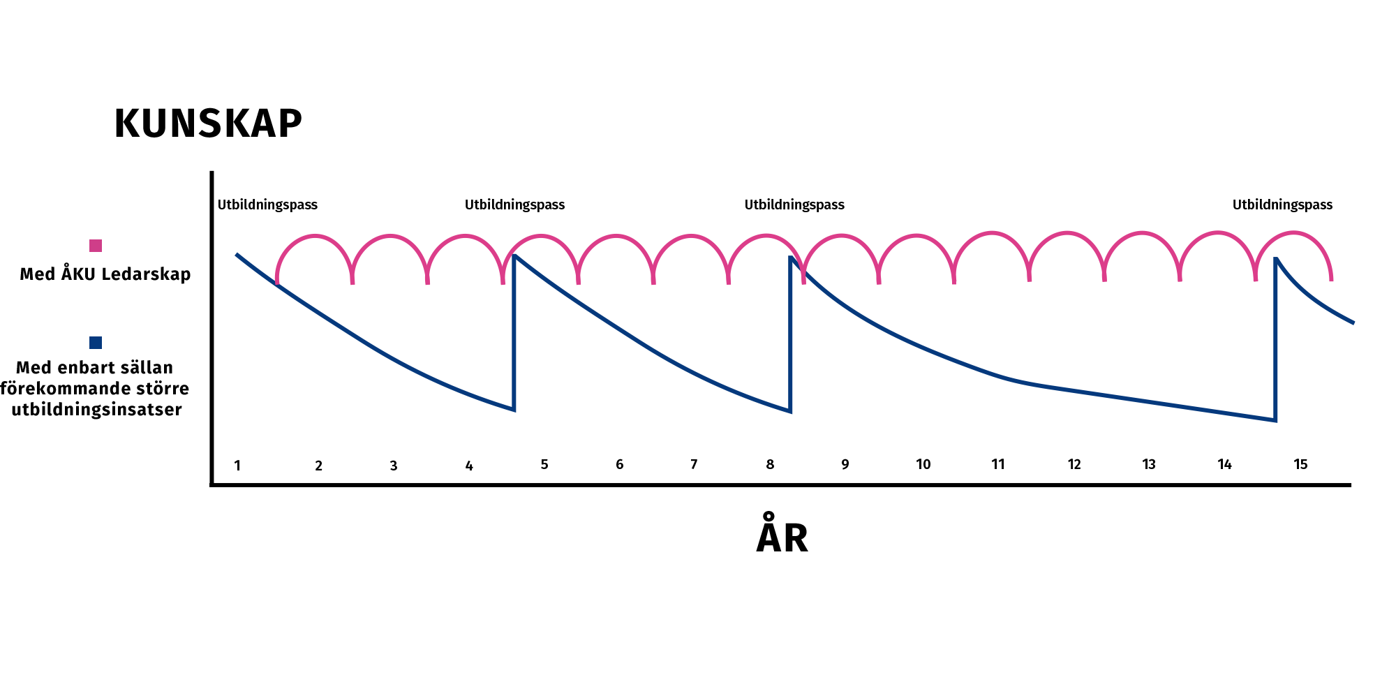 åku ledarskap repetitionskurvan transparent